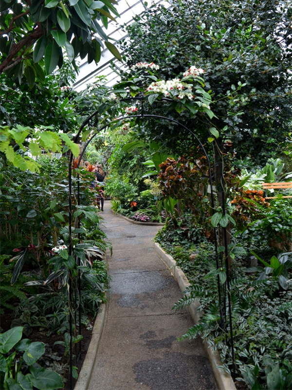 Thunder Bay Centennial Botanical Conservatory